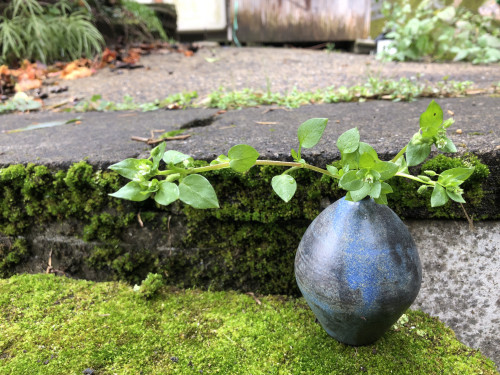 くにさきかたち工房さんの器に添える花