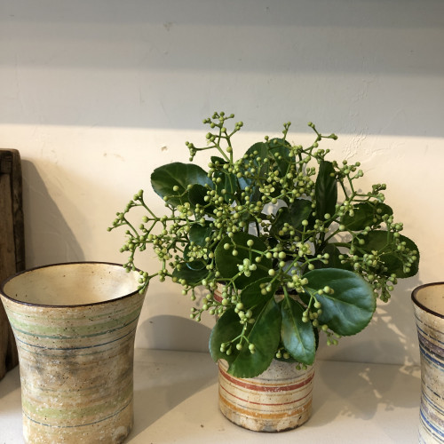 くにさきかたち工房さんの器に添える花