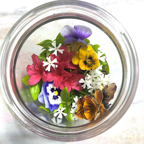 ガラス【大】瓶