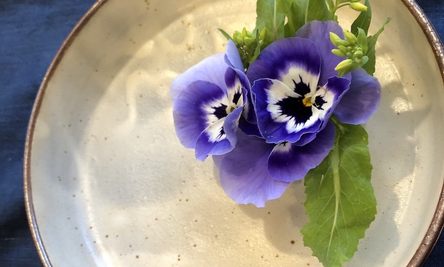 お皿に描く食べる花